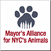 Mayor's Alliance